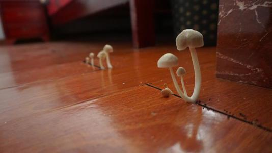 潮濕的地下室對人體有哪些危害？